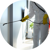 タイトルタイトル